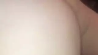 الحمار العربي