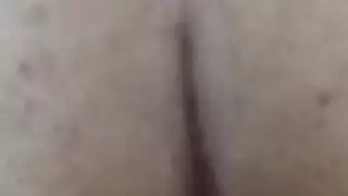 الحمار صديقته الإيرانية