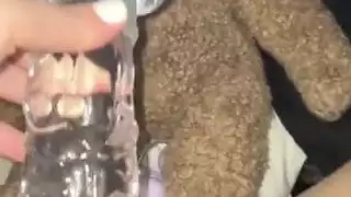 الغذاء في في سن المراهقة غريب الاستمناء لوس أنجلوسالولايات المتحدة الأمريكية غريب صنم تجميع