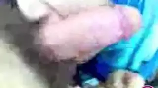 مراهقة عربية تمص قضيب مثل شرموطة