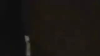 المغربي العربية الحمار الكبير ماكس المشاركة
