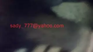 الديك الأسود العربي