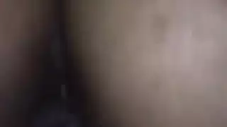 الحمار العربي سخيف