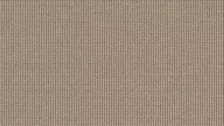 رجل تركي يصرخ 