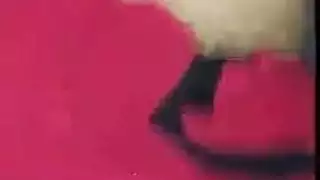 مصر