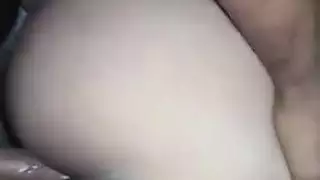 الحمار العربي الساخن فواك