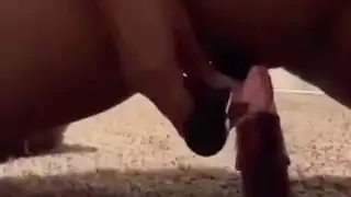 الجبهة العربية ارضاء نفسها مع لعبة