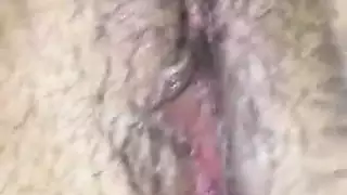 الحمار لطيفة من العراق