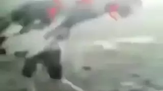 الديك الأسود العربي