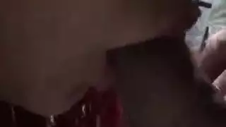 النموذج الإباحية