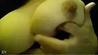 الثدي العربية