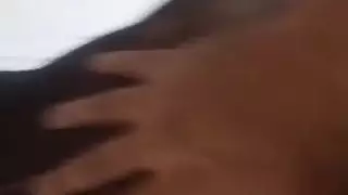 الشرج العربي في فرنسا