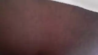 اللاتينية / العربية الديك