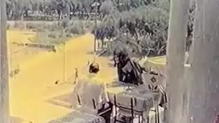 بالبديم