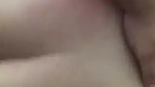 الحمار العربي الكبير